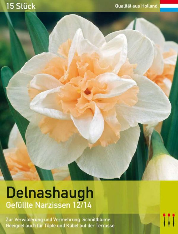Delnashaugh
