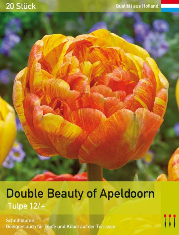 Double Beauty of Apeldoorn