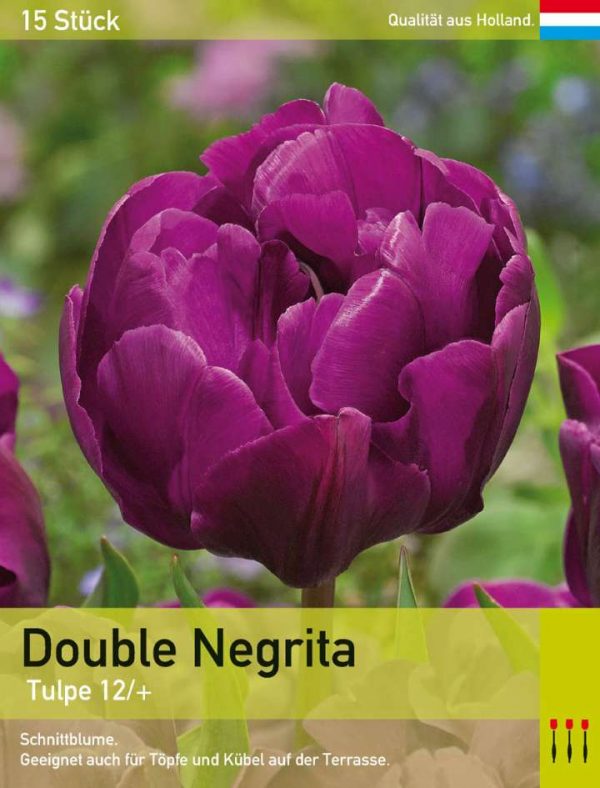 Double Negrita