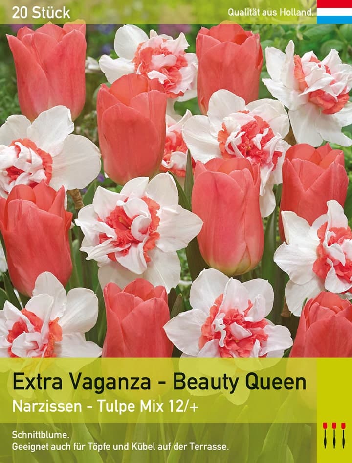 Extra Vaganza - Beauty Queen