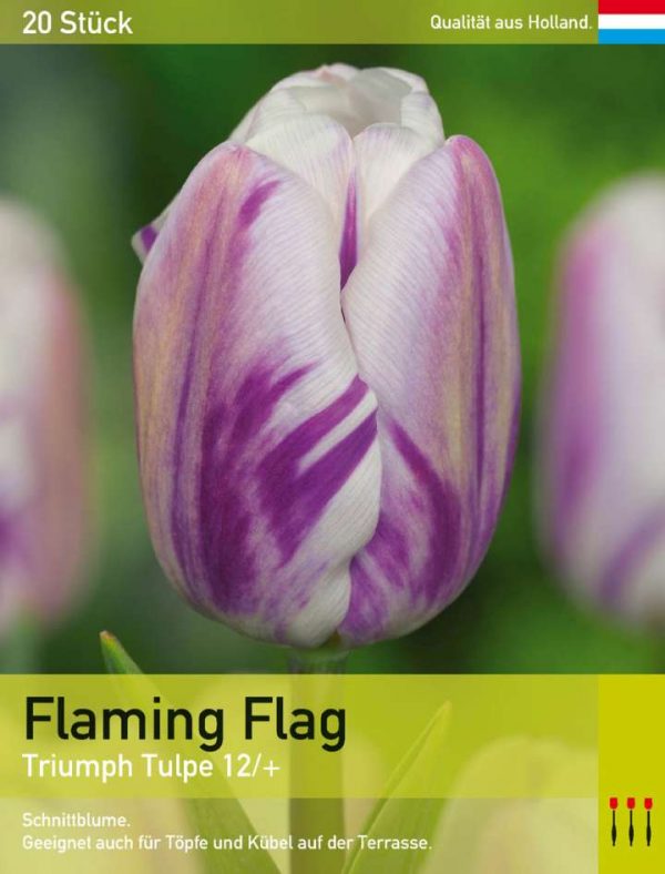 Flaming Flag
