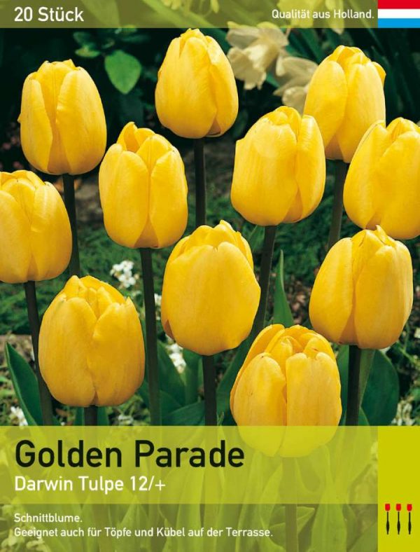 Golden Parade