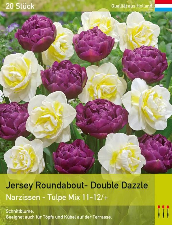 Jersey Roundabout- Double Dazzle