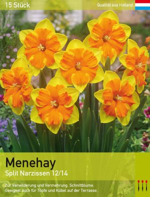 Menehay