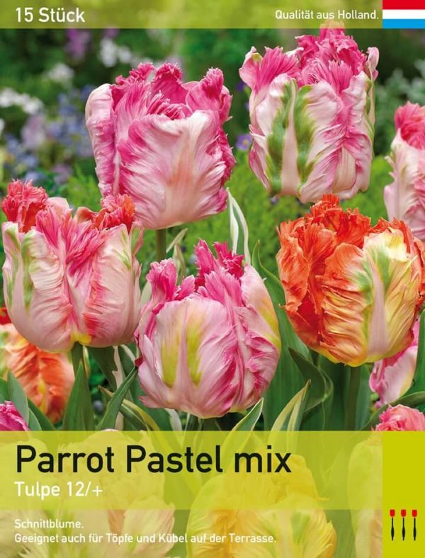 Parrot Pastel Mix