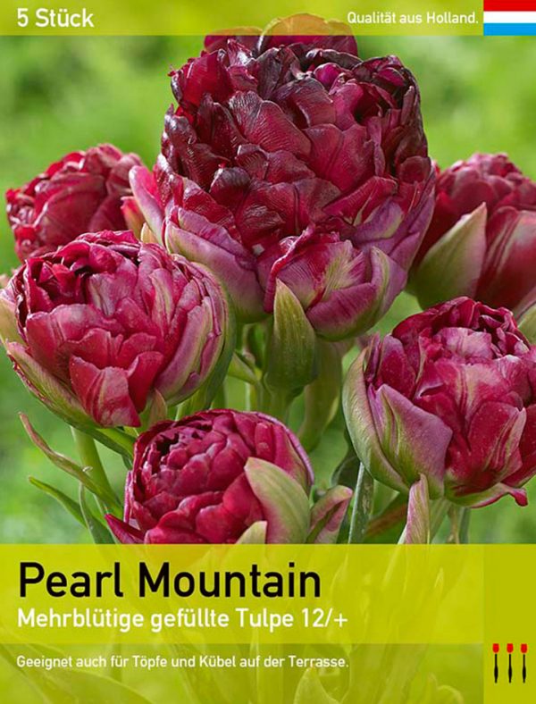 Pearl Mountain