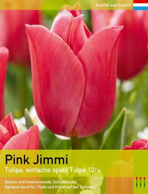 Pink Jimmi