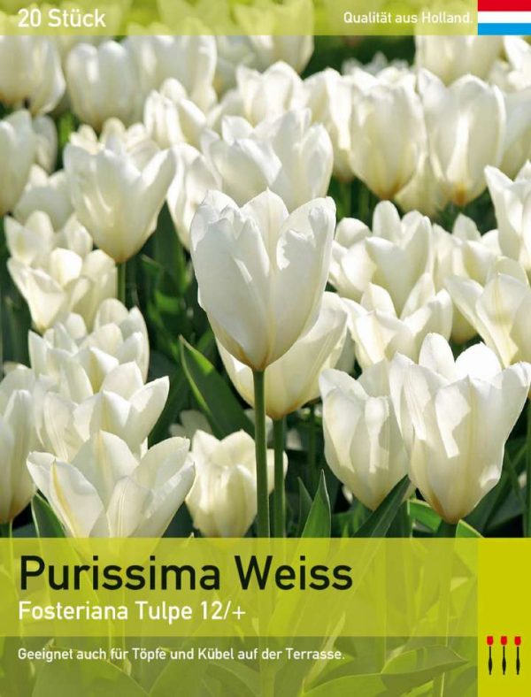 Purissima Weiss