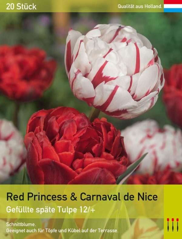Red Princess & Carnaval de Nice