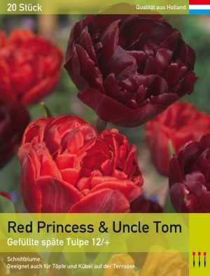 Red Princess & Uncle Tom