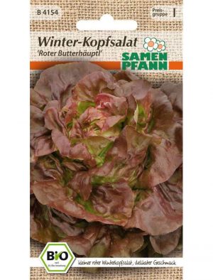 Bio Winter-Kopfsalat Roter Butterhäuptl