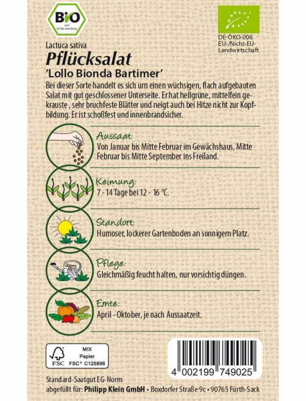Bio Pflücksalat Lollo Bionda Bartimer – Bild 2