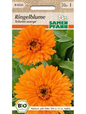 Bio Ringelblume Erfurter orange