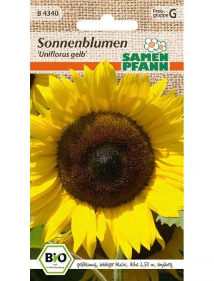 Bio Sonnenblumen Uniflorus gelb