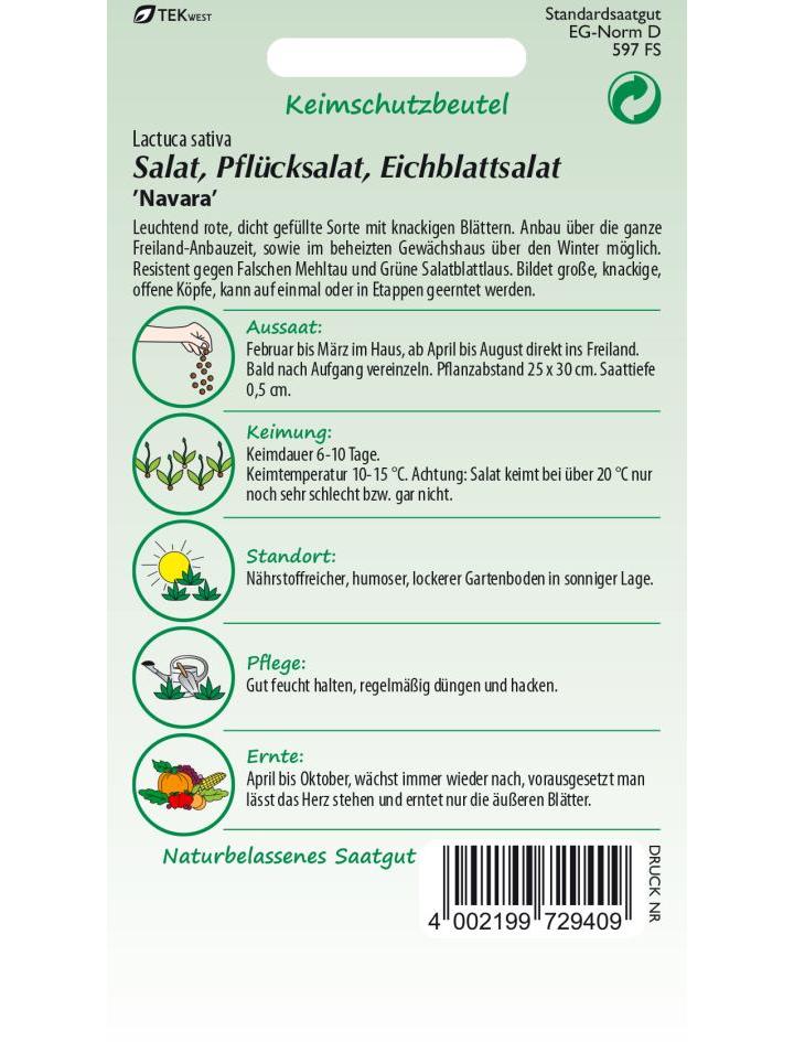 Eichblattsalat Navara Saatgut – Leuchtend Roter, Resistenter Salat Für Den Eigenen Garten