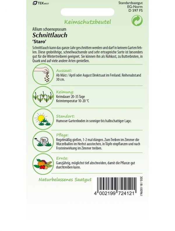Schnittlauch Staro – Bild 2