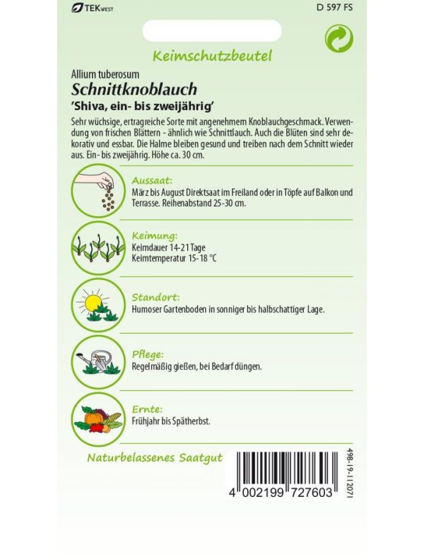 Schnittknoblauch Shiva – Bild 2