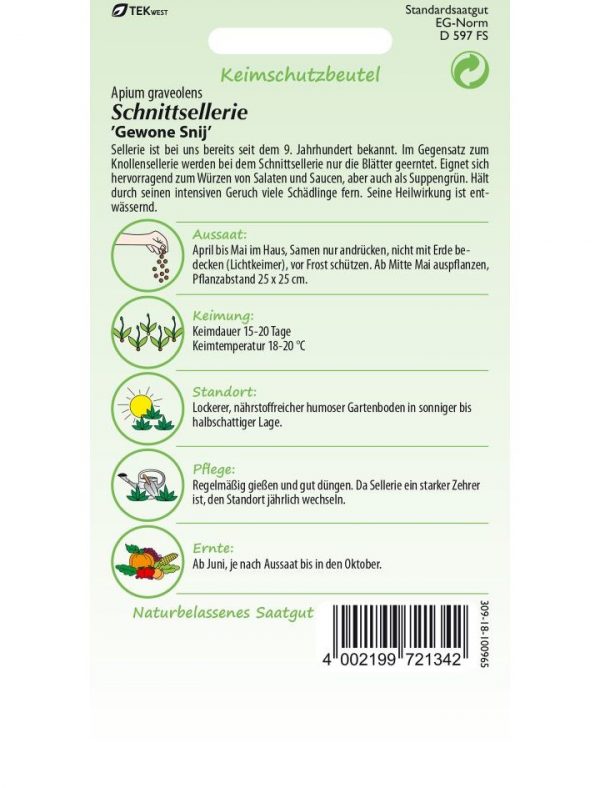 Schnittsellerie Gewone Snij (gewöhnlicher Schnitt) – Bild 2
