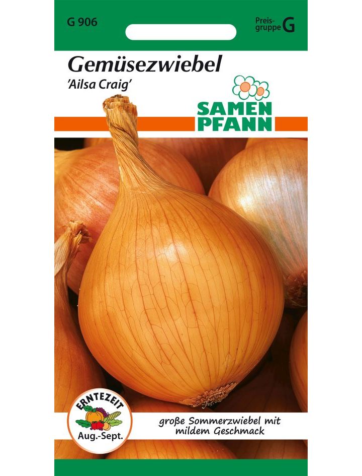 Gemsezwiebel Ailsa Craig - Lemo Gartendesign