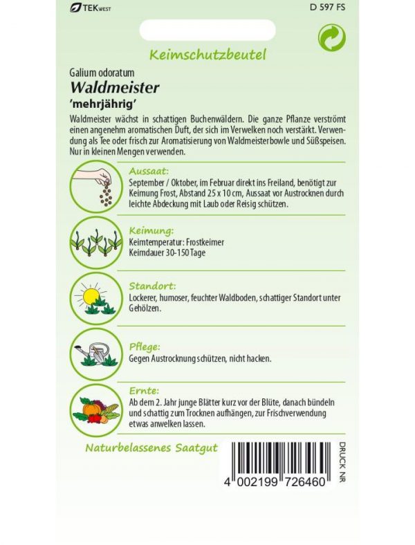 Waldmeister – Bild 2