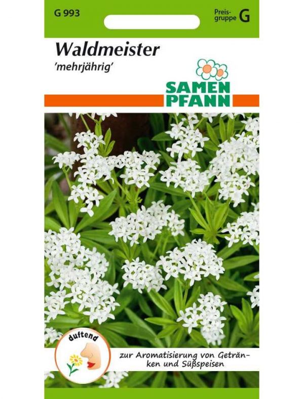 Waldmeister