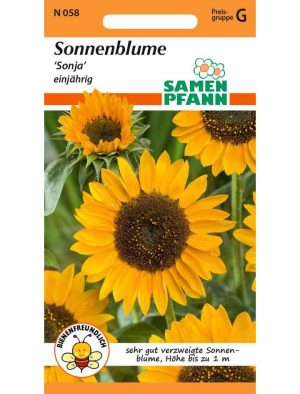 Sonnenblume Sonja