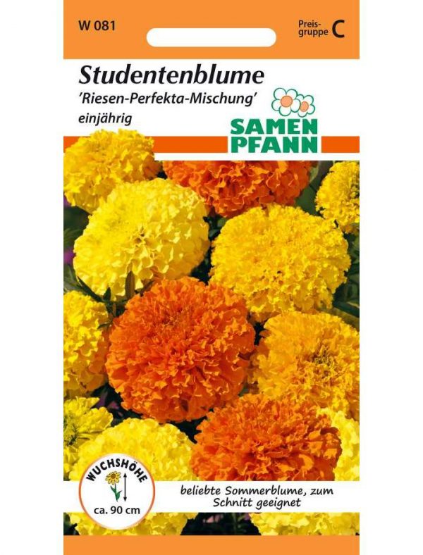 Studentenblume "Honeycomb" Samen - Gefüllte Blüten Für Beete & Gruppenpflanzung, Langanhaltende Blüte