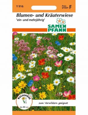 Blumen- und Kräuterwiese