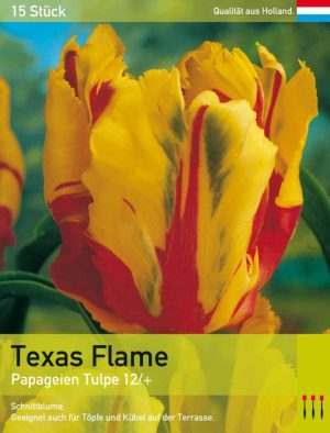 Texas Flame