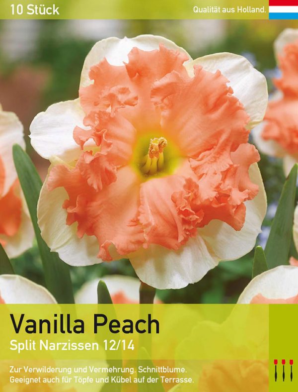 Vanilla Peach
